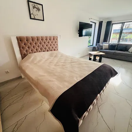 Domki I Apartamenty Wypoczynkowe Lidzbark Lidzbark Welski Exterior foto